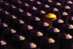 a-large-group-of-purple-and-yellow-bullet-caps.jpg A large group of purple and yellow bullet caps